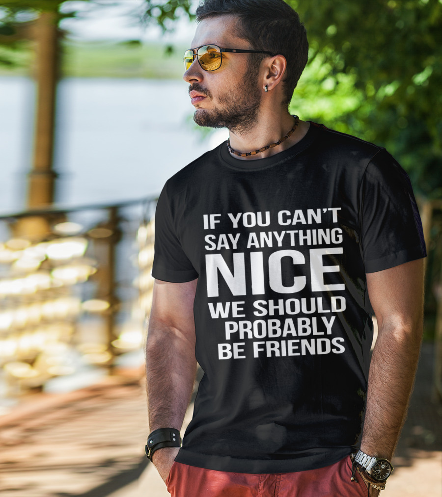 If You Can't Say Anything Nice We Should Probably Be Friends T-Shirt