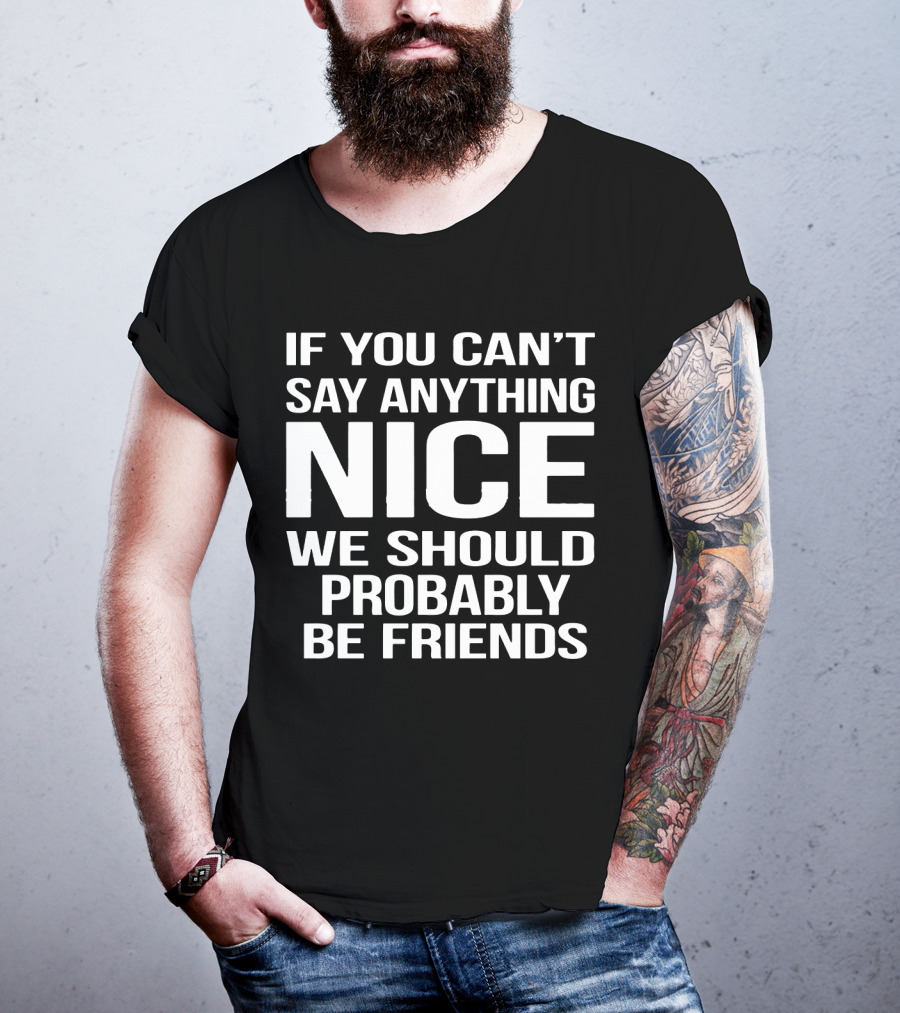 If You Can't Say Anything Nice We Should Probably Be Friends T-Shirt
