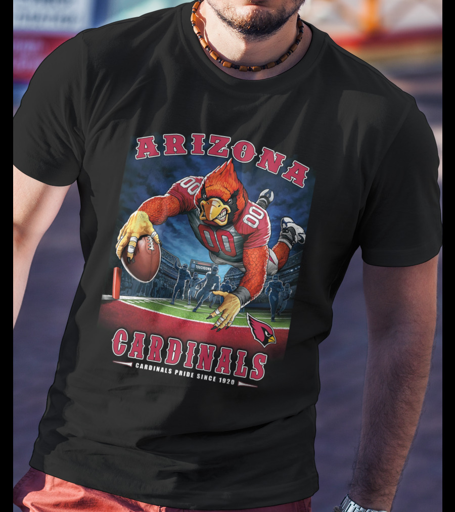 Arizona Cardinals End Zone Touchdown Cardinals Pride Since 1920 T-Shirt