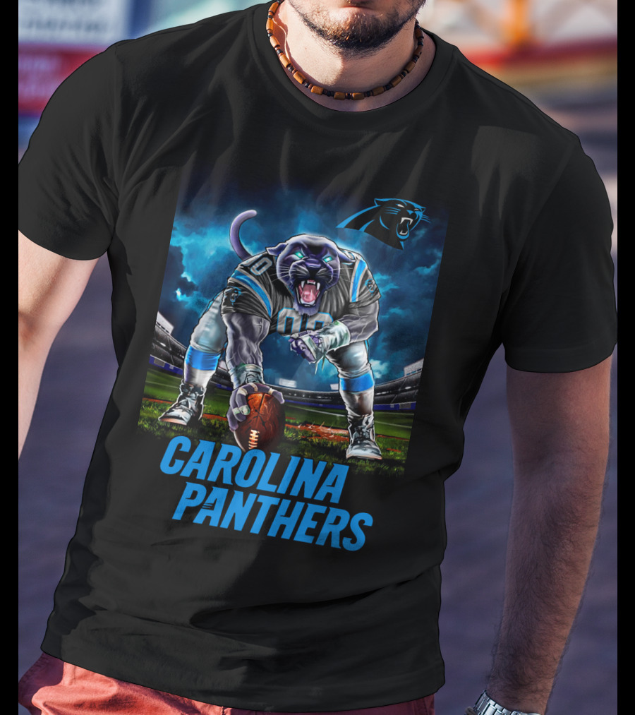 Carolina Panthers 3 Point Stance Nfl Stadium Panther T-Shirt