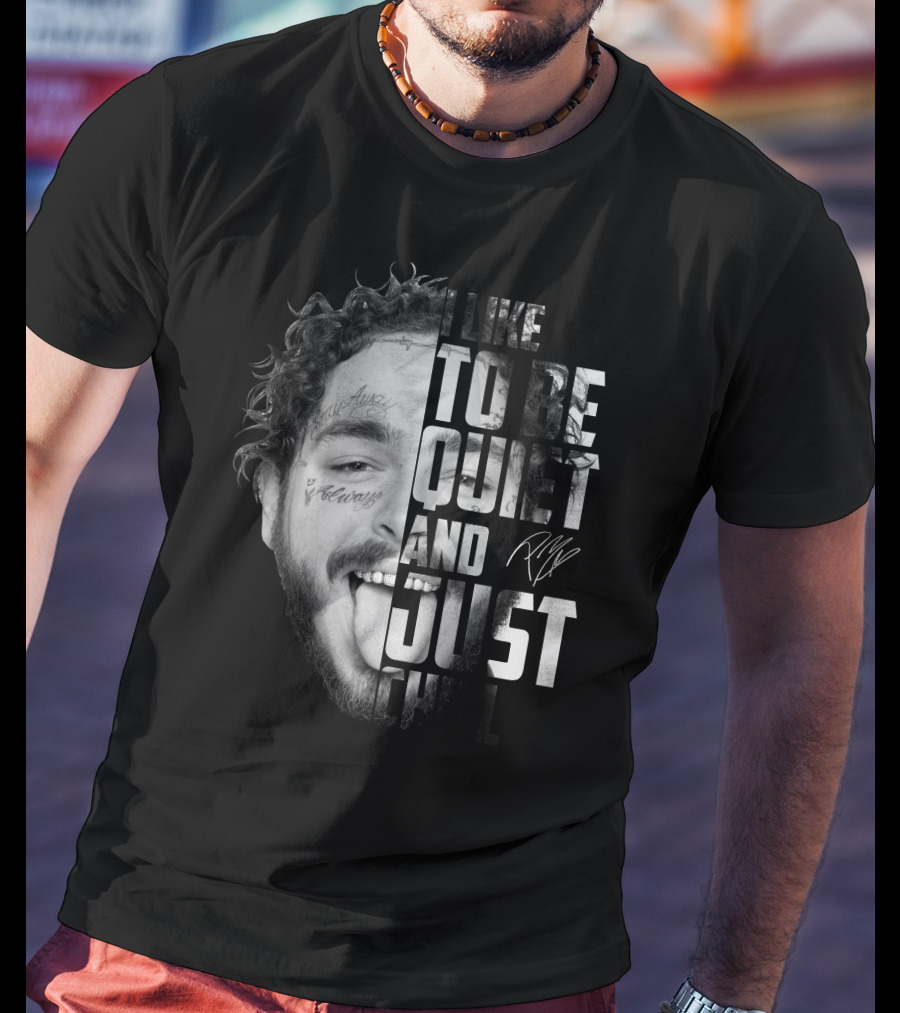 I Like To Be Quiet And Just Chill T-Shirt