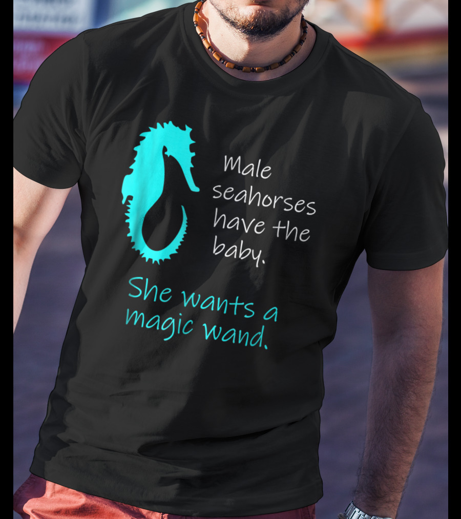 Male Seahorses Have The Baby She Wants A Magic Wand Dad To Be Maternity Tee96 T-Shirt