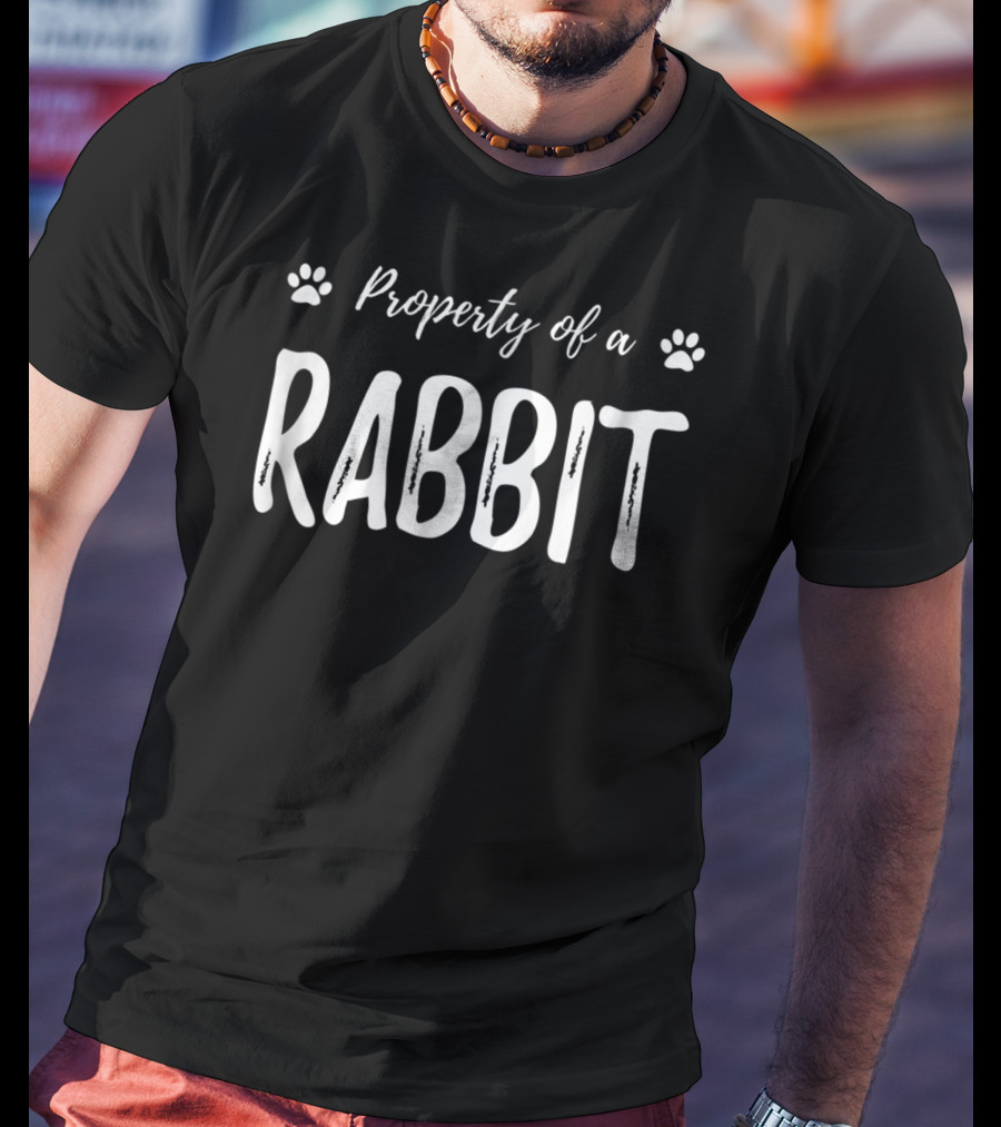 Property Of A Rabbit Funny Rabbit Lover Bunny Mom T-Shirt