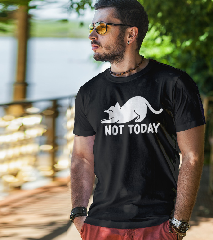Lazy Cat Not Today Cat Lovers Cat Lady Cat T-Shirt