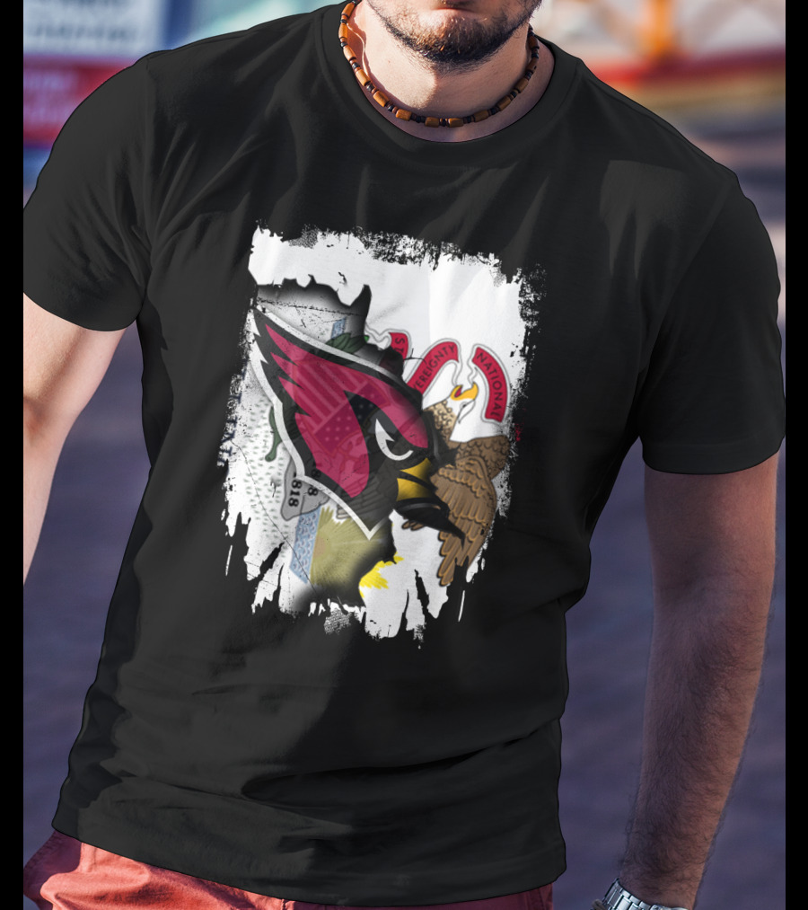 Illinois Pride With Fierce Cardinals Unity T-Shirt