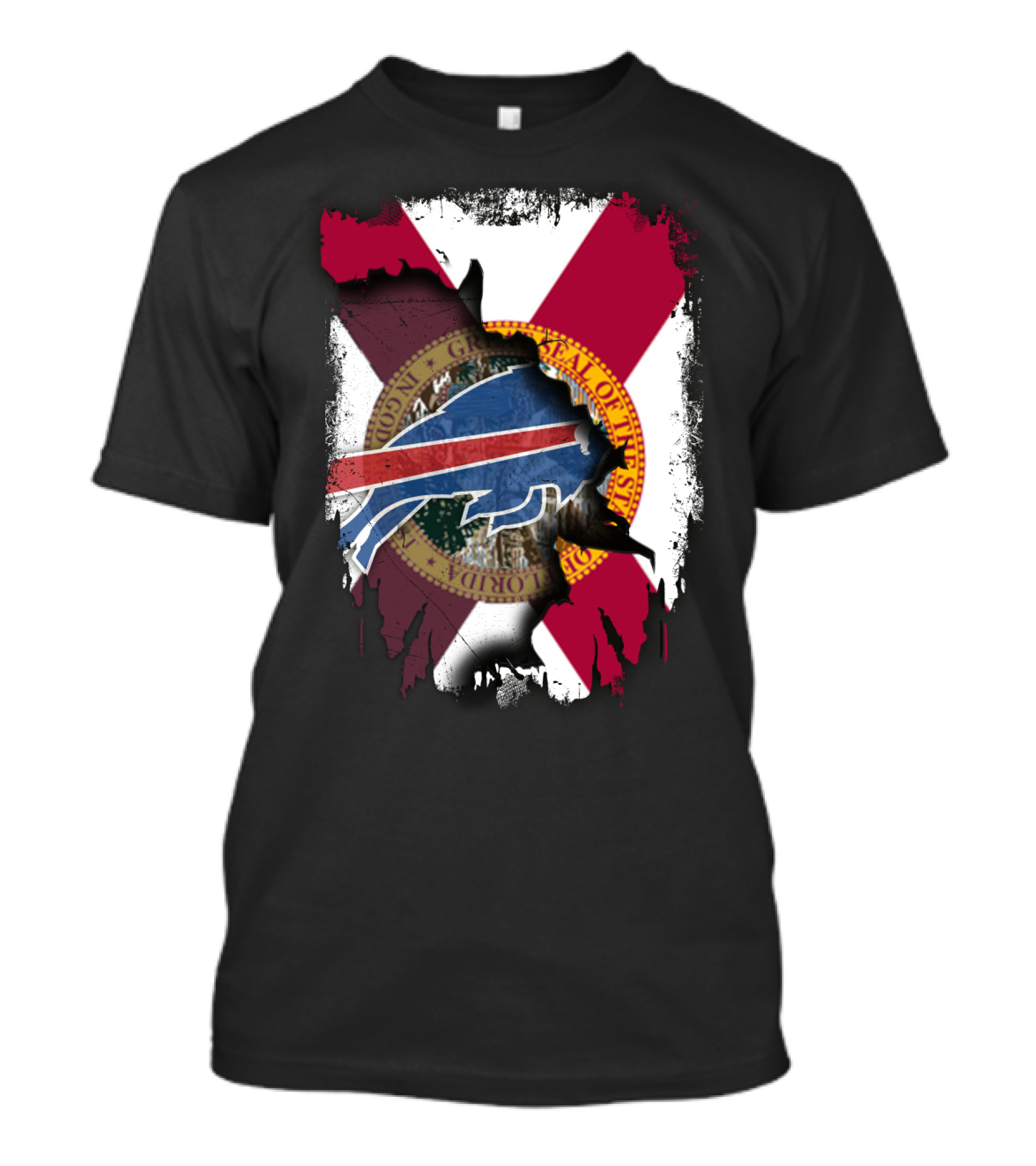 Florida State Seal And American Football Buffalo Symbol Together T-Shirt