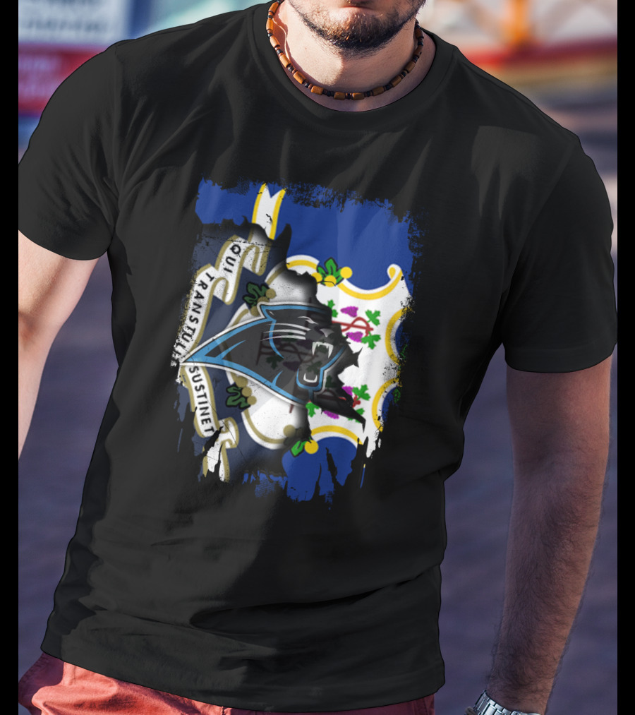 Connecticut Flag With Panthers Logo Integration T-Shirt