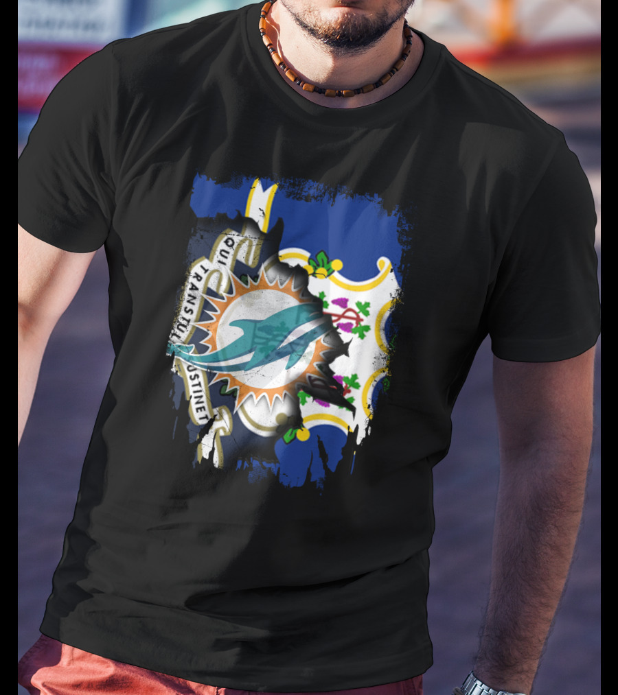 Connecticut State Flag Merged With Miami Dolphins T-Shirt