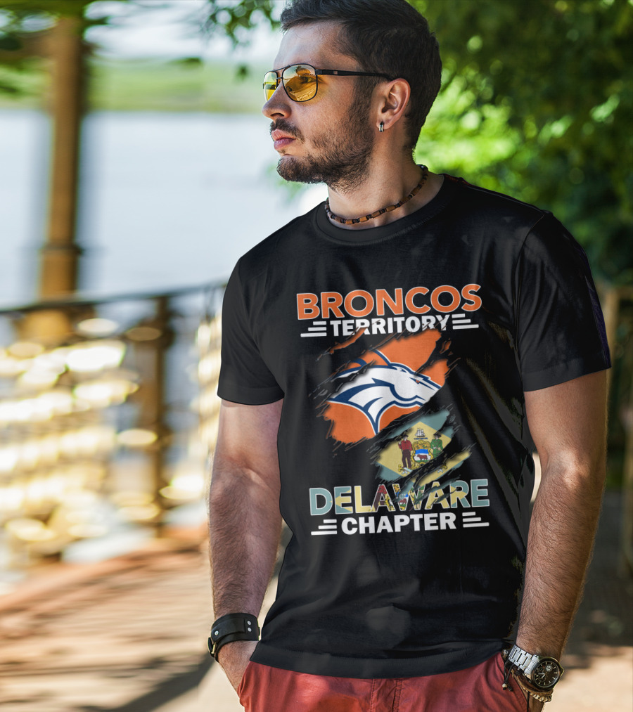 Broncos Territory Delaware Chapter State Flag And Logo Elements T-Shirt