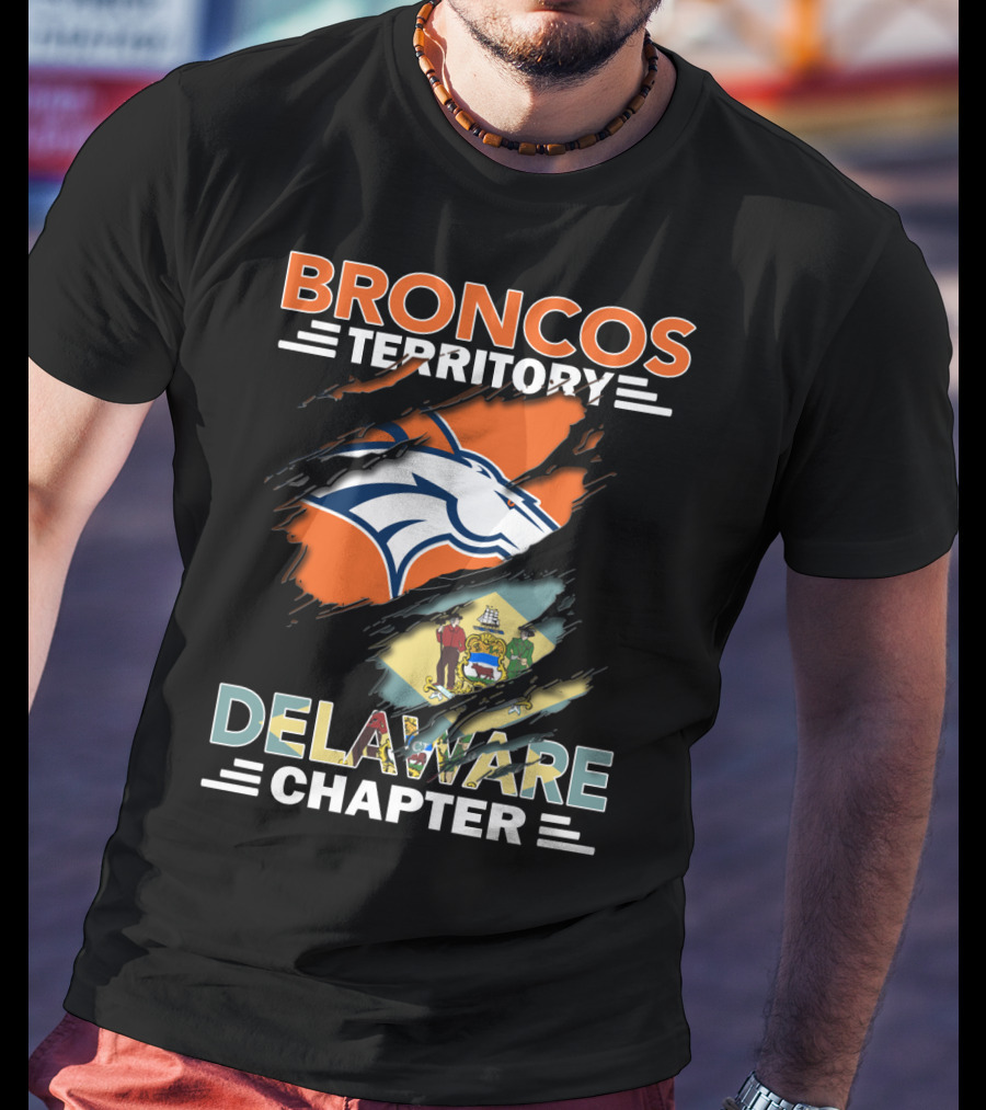 Broncos Territory Delaware Chapter State Flag And Logo Elements T-Shirt