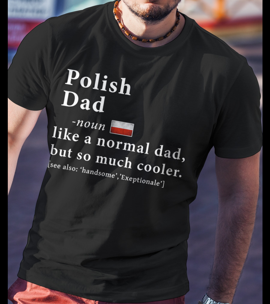 Polish Dad Noun Like A Normal Dad But So Much Cooler Handsome Exceptionale Polish Flag T-Shirt