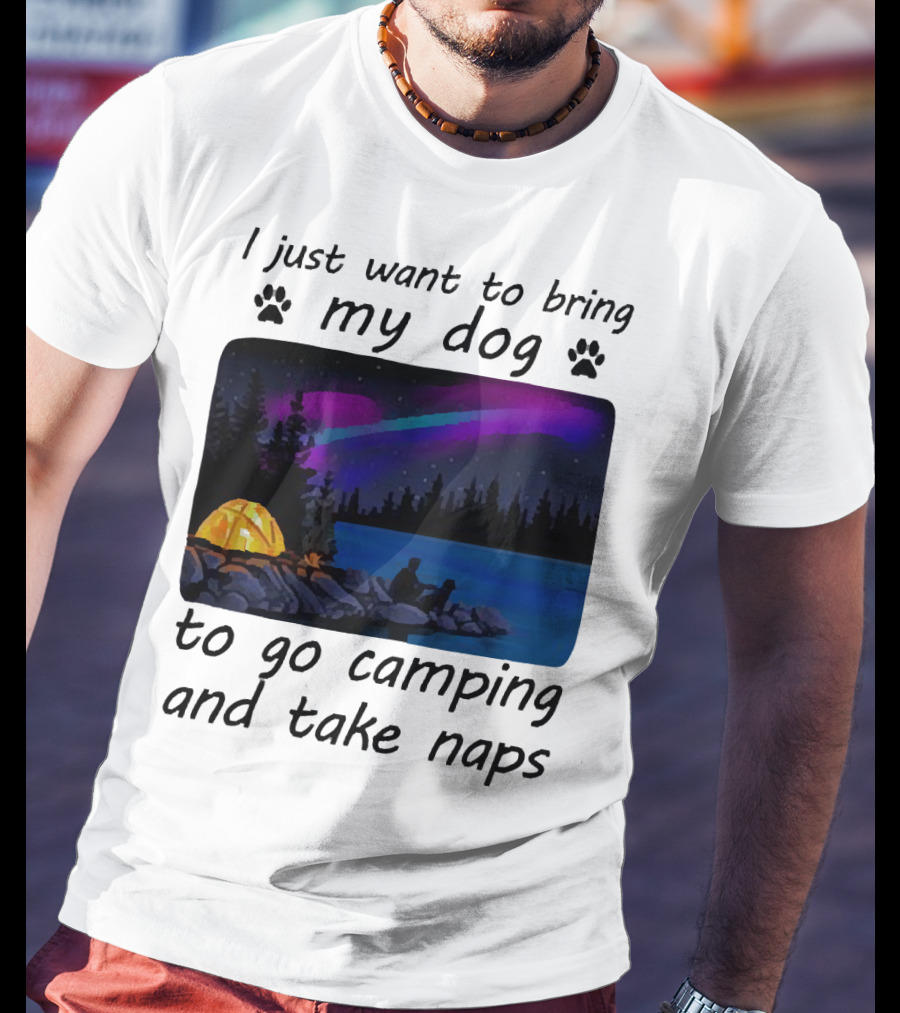 I Just Want To Bring My Dog To Go Camping And Take Naps With Aurora Borealis And Tent By Lake T-Shirt