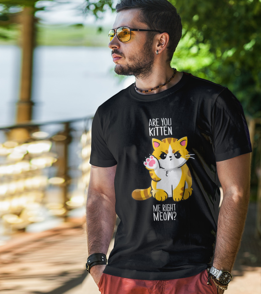Are You Kitten Me Right Meow Cute Kitty T-Shirt