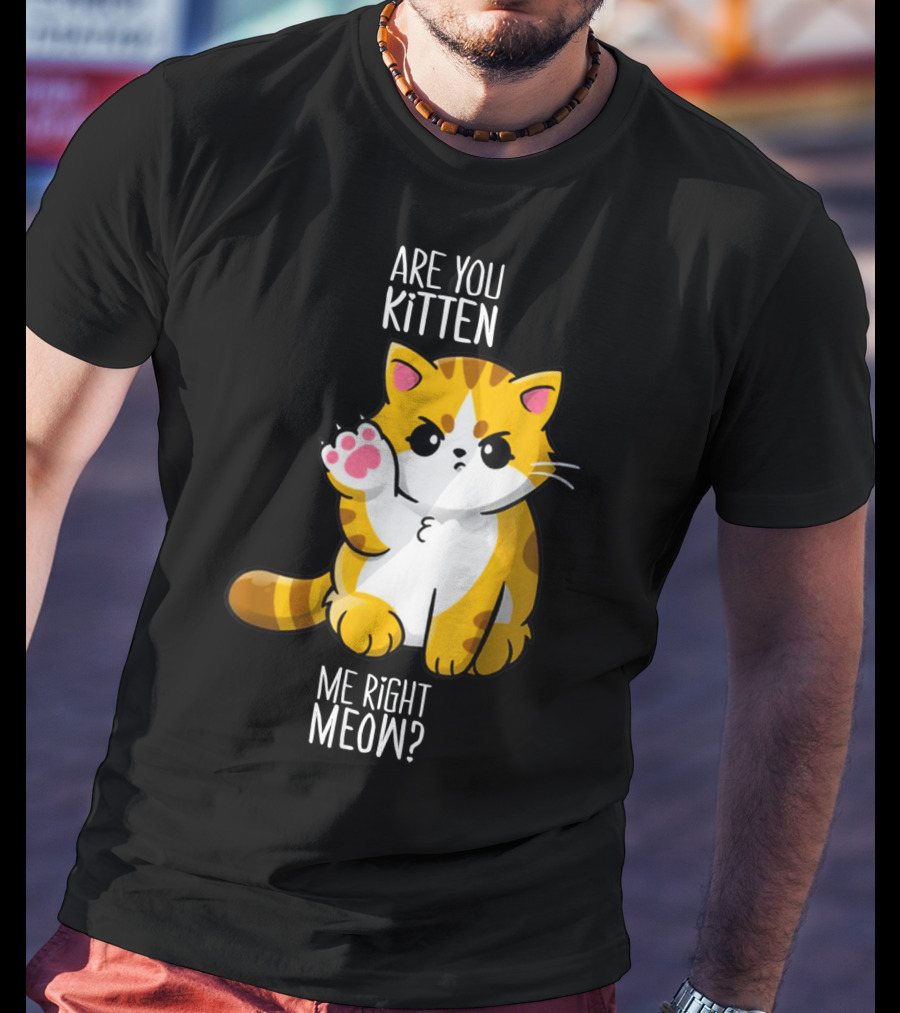 Are You Kitten Me Right Meow Cute Kitty T-Shirt