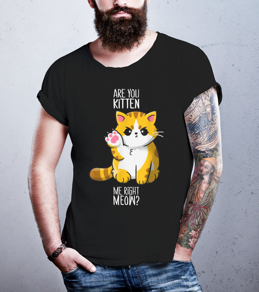 Are You Kitten Me Right Meow Cute Kitty T-Shirt