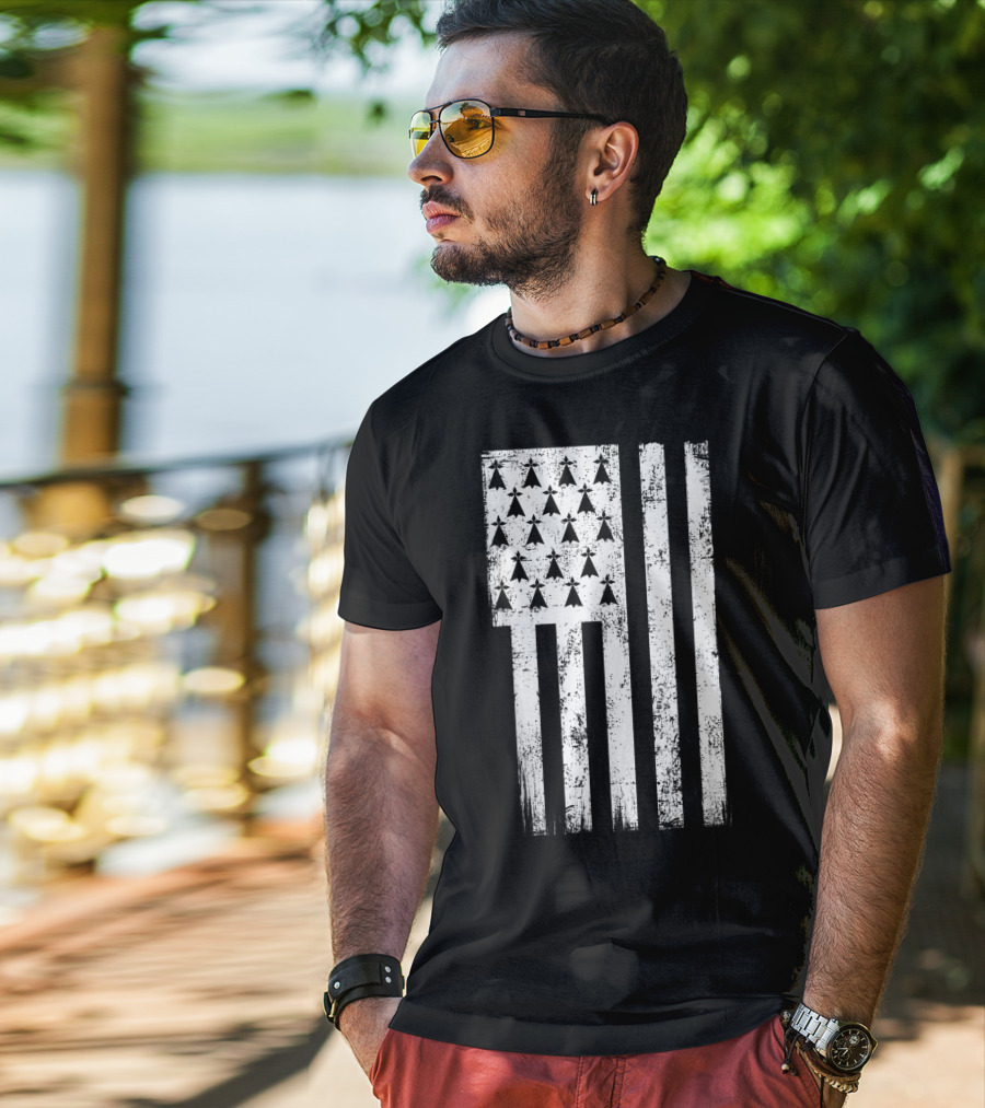 Bretagne Flag Distressed Bretagne Region Of France T-Shirt