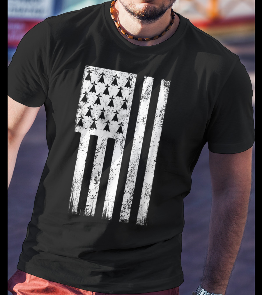Bretagne Flag Distressed Bretagne Region Of France T-Shirt