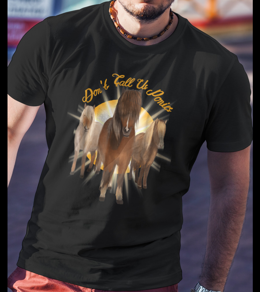 Don't Call Us Ponies Funny Cute Miniature Horse Trio Sunburst T-Shirt