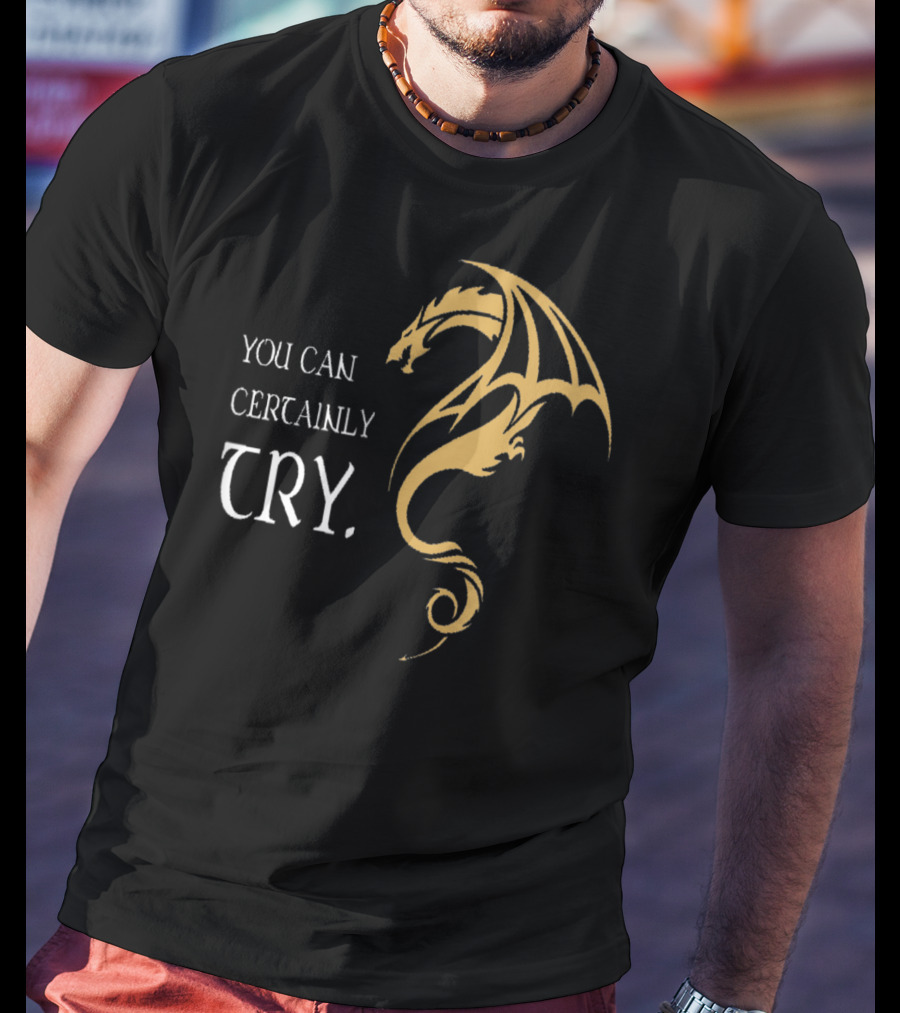 You Can Certainly Try Dragon Fire Dungeons Fantasy T-Shirt