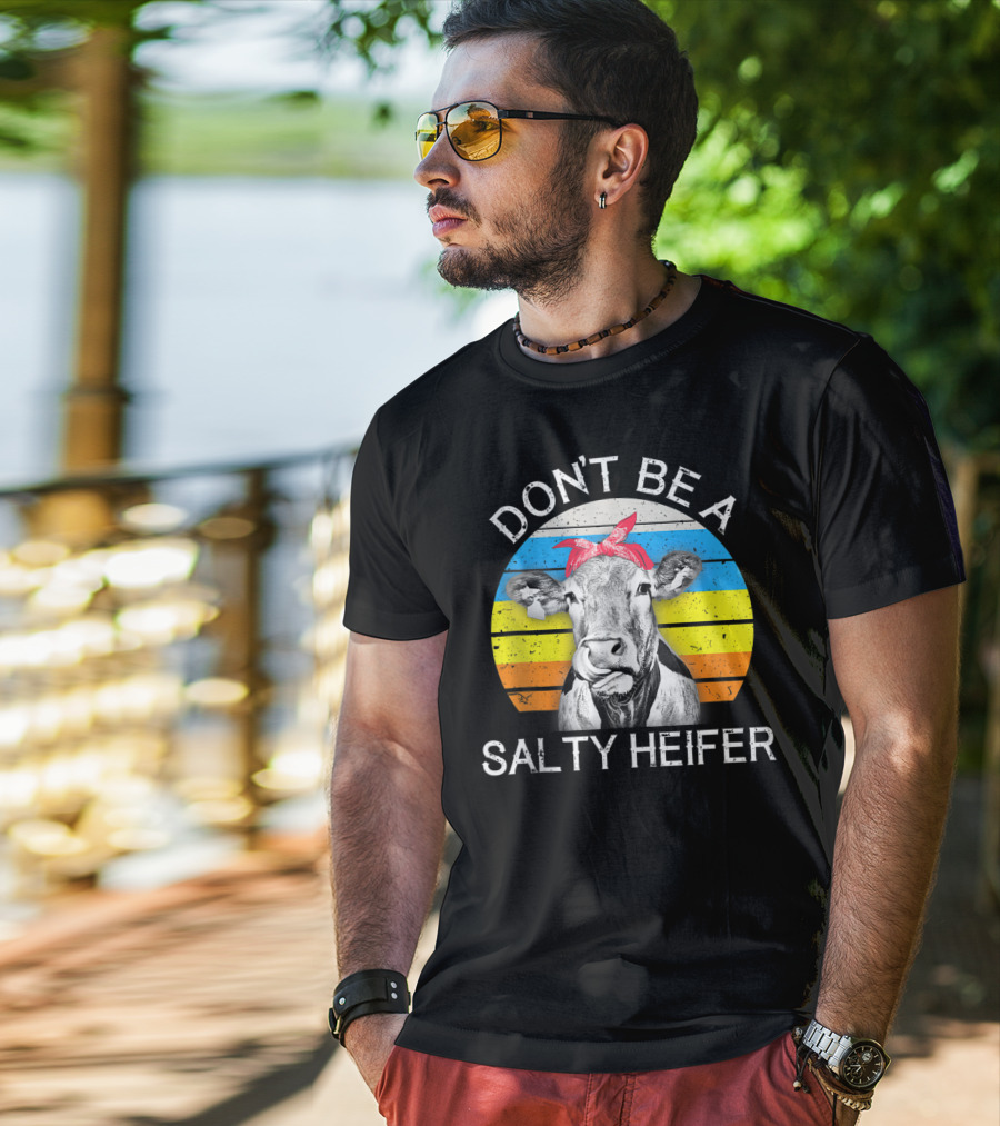 Don't Be A Salty Heifer Funny Cow Retro Stripe T-Shirt