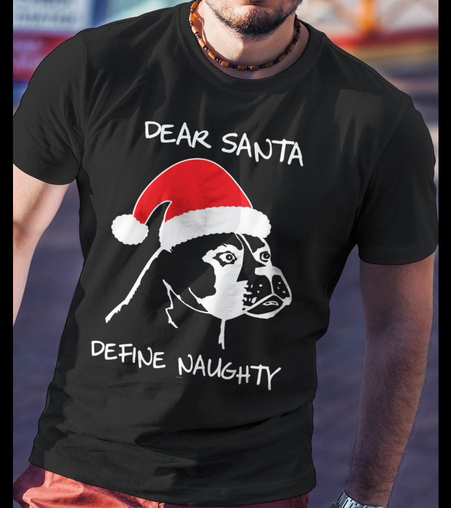 Dear Santa Define Naughty Boxer Funny Ugly Xmas Dog Lovers T-Shirt