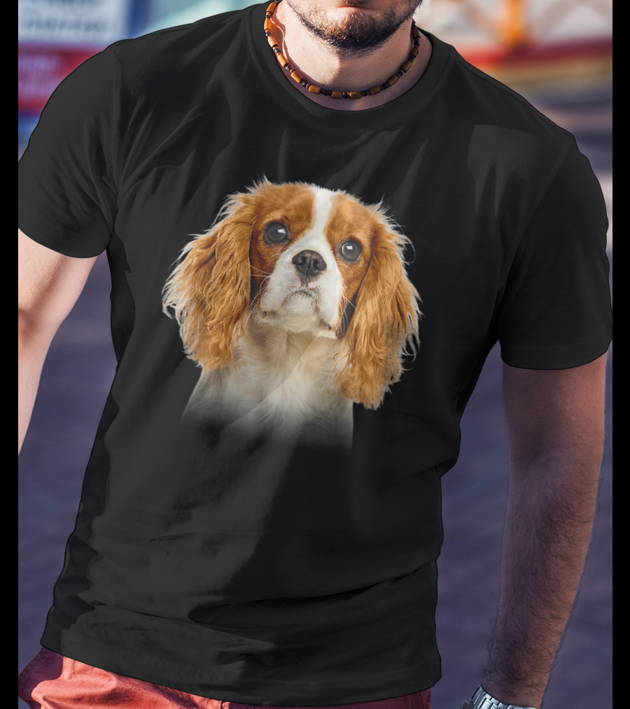 Cavalier King Charles Spaniel Face Close-Up Image T-Shirt