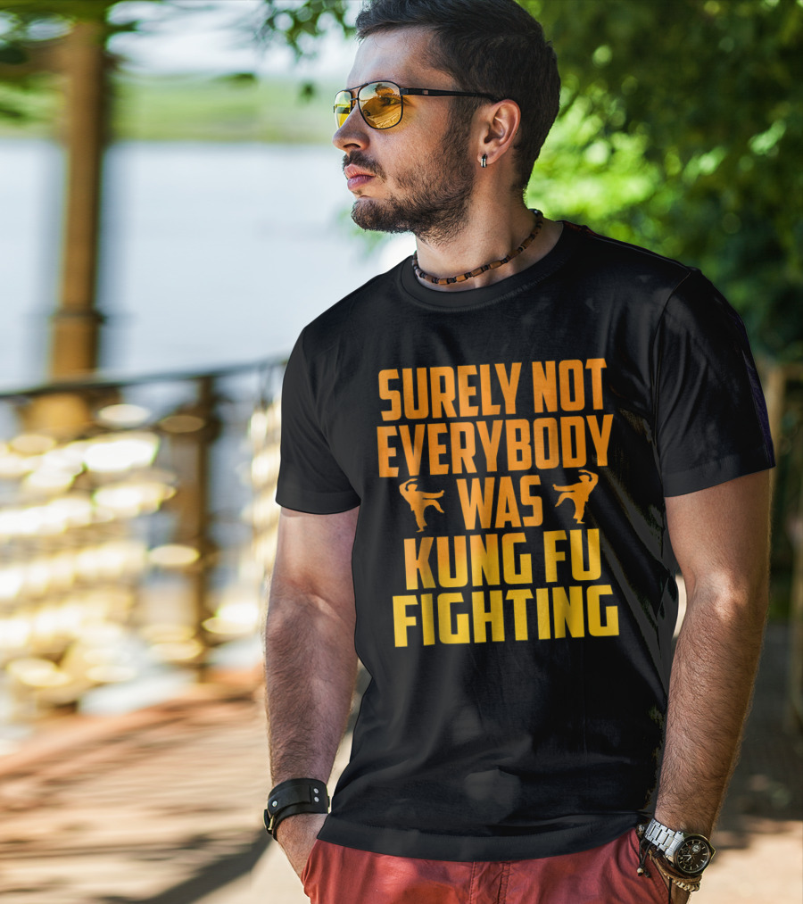 Surely Not Everybody Was Kung Fu Fighting Retro Kung Fu Pose T-Shirt