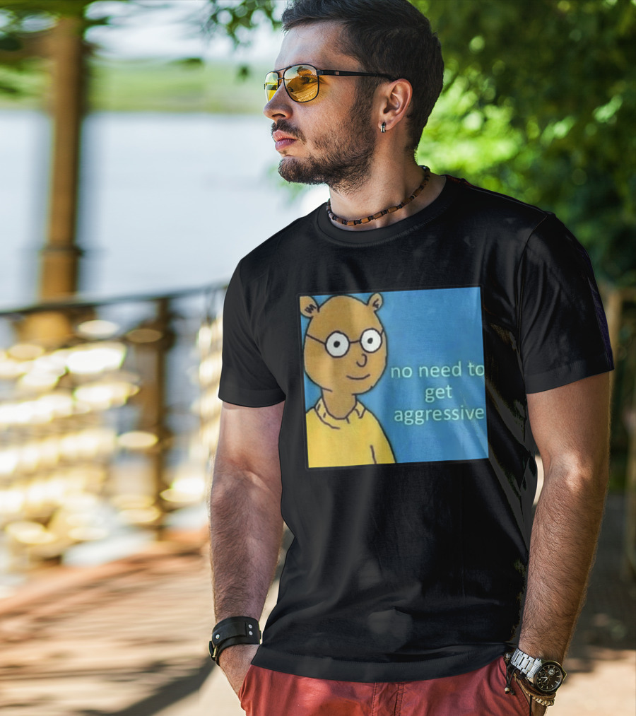 No Need To Get Aggressive Meme Bear Funny Aesthetic T-Shirt