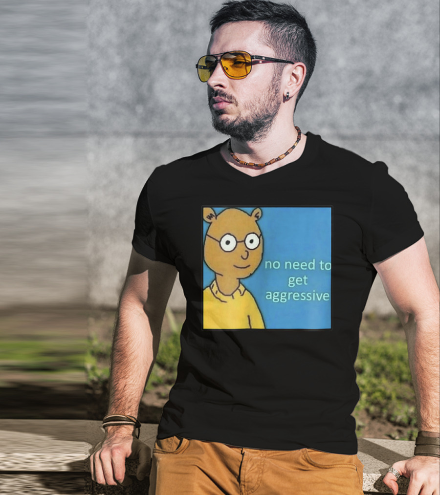 No Need To Get Aggressive Meme Bear Funny Aesthetic T-Shirt