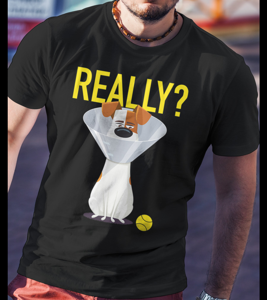 The Secret Life Of Pets 2 Max Really? Ball Cone Collar T-Shirt