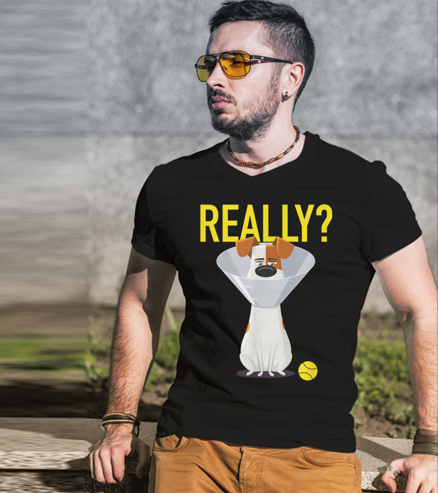The Secret Life Of Pets 2 Max Really? Ball Cone Collar T-Shirt