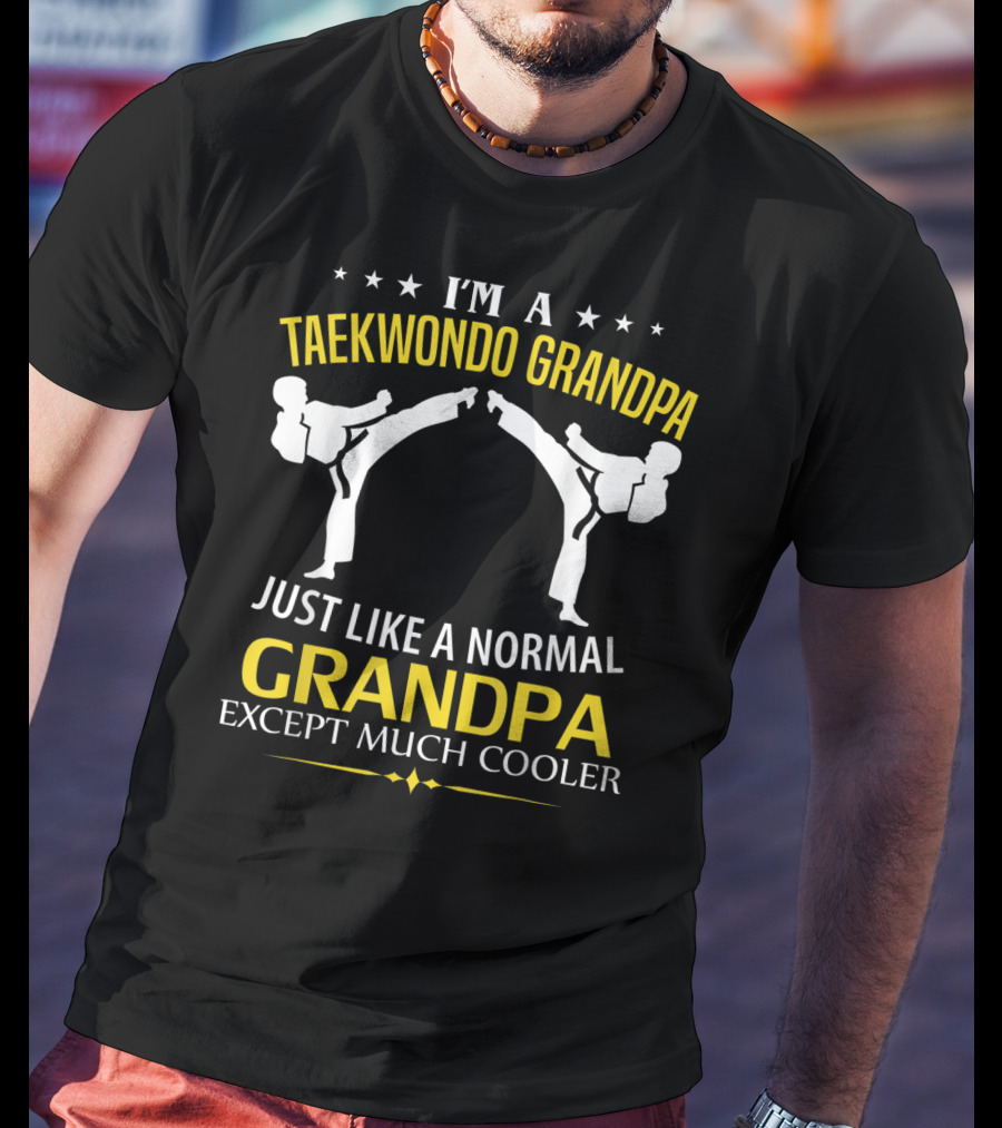I'm A Taekwondo Grandpa Just Like A Normal Grandpa Except Much Cooler T-Shirt