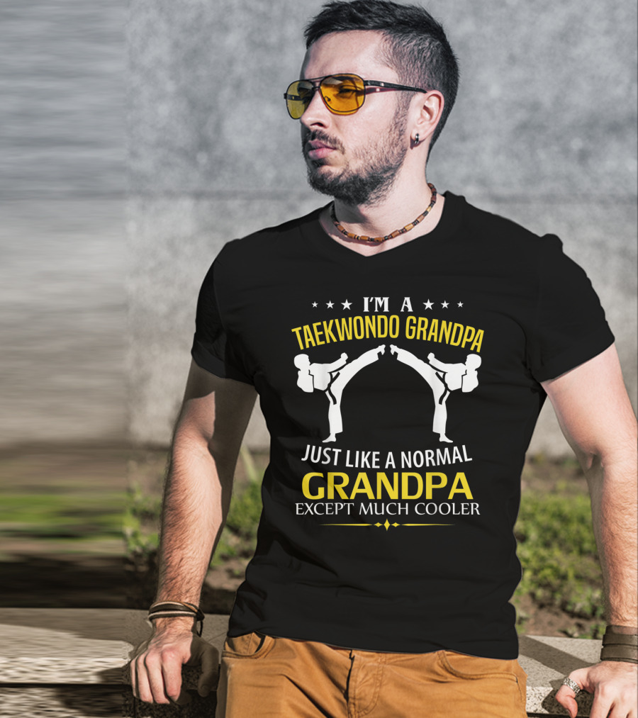 I'm A Taekwondo Grandpa Just Like A Normal Grandpa Except Much Cooler T-Shirt