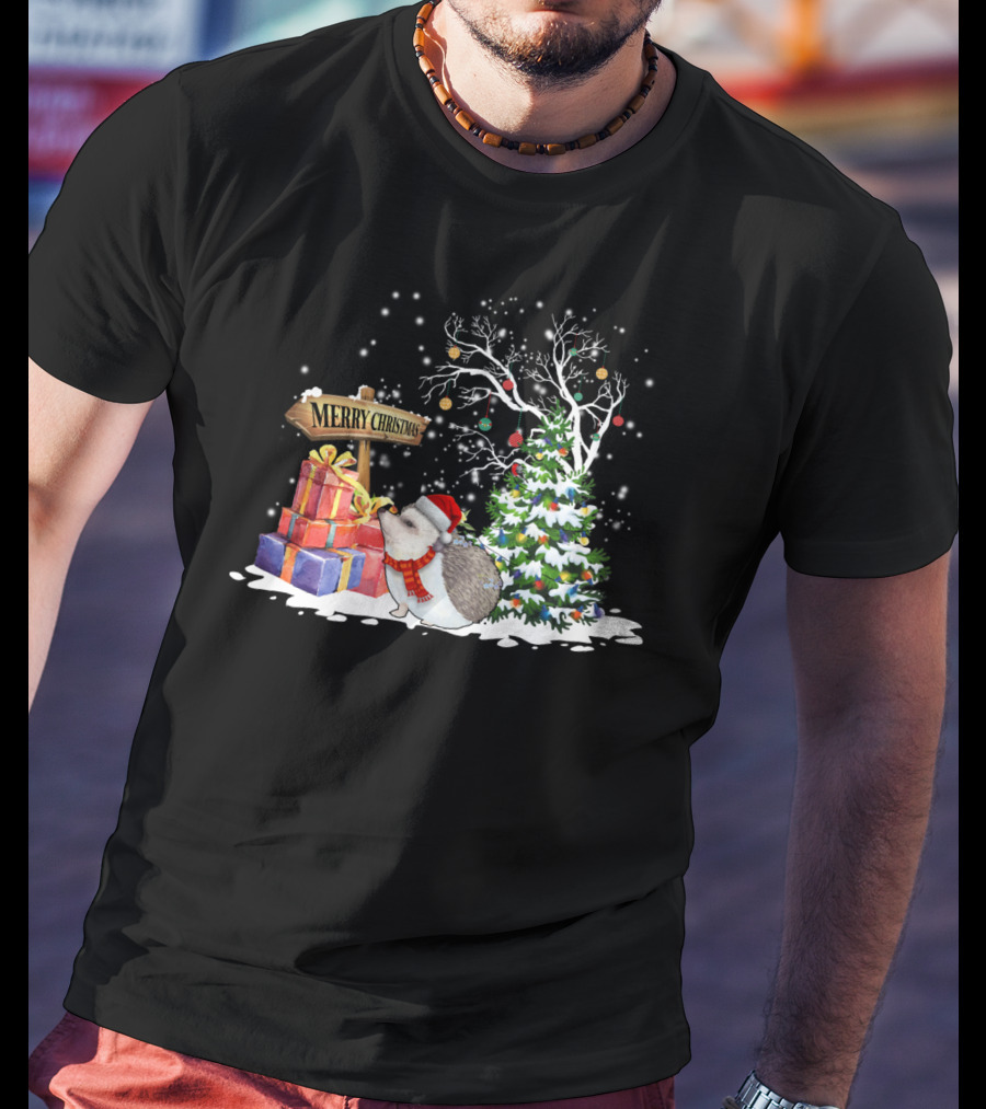 Merry Christmas Funny Hedgehog Santa Christmas Hedgehog Lover T-Shirt