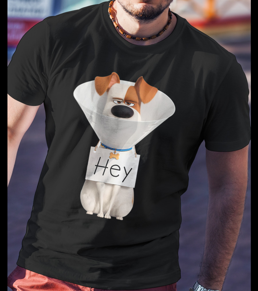 Hey Max Dog Cone Humor T-Shirt