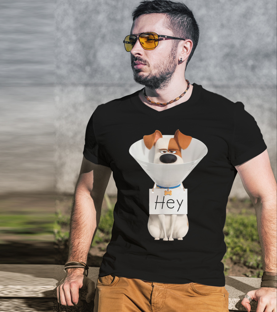 Hey Max Dog Cone Humor T-Shirt