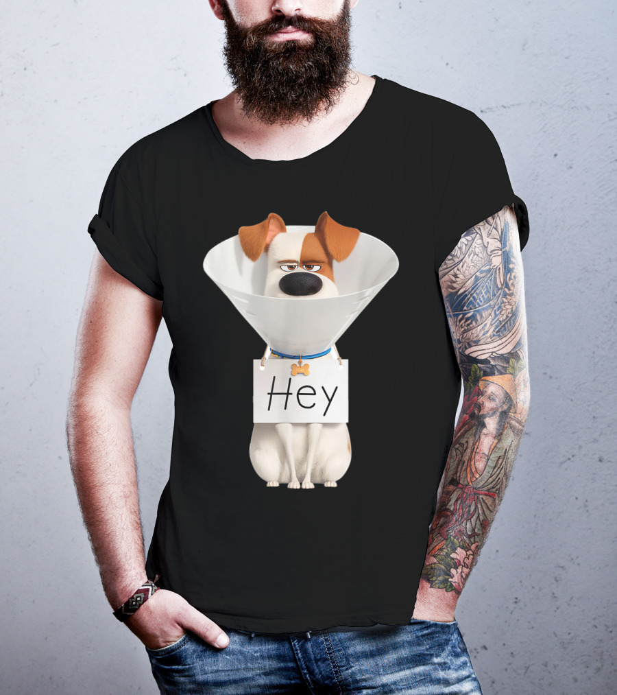 Hey Max Dog Cone Humor T-Shirt