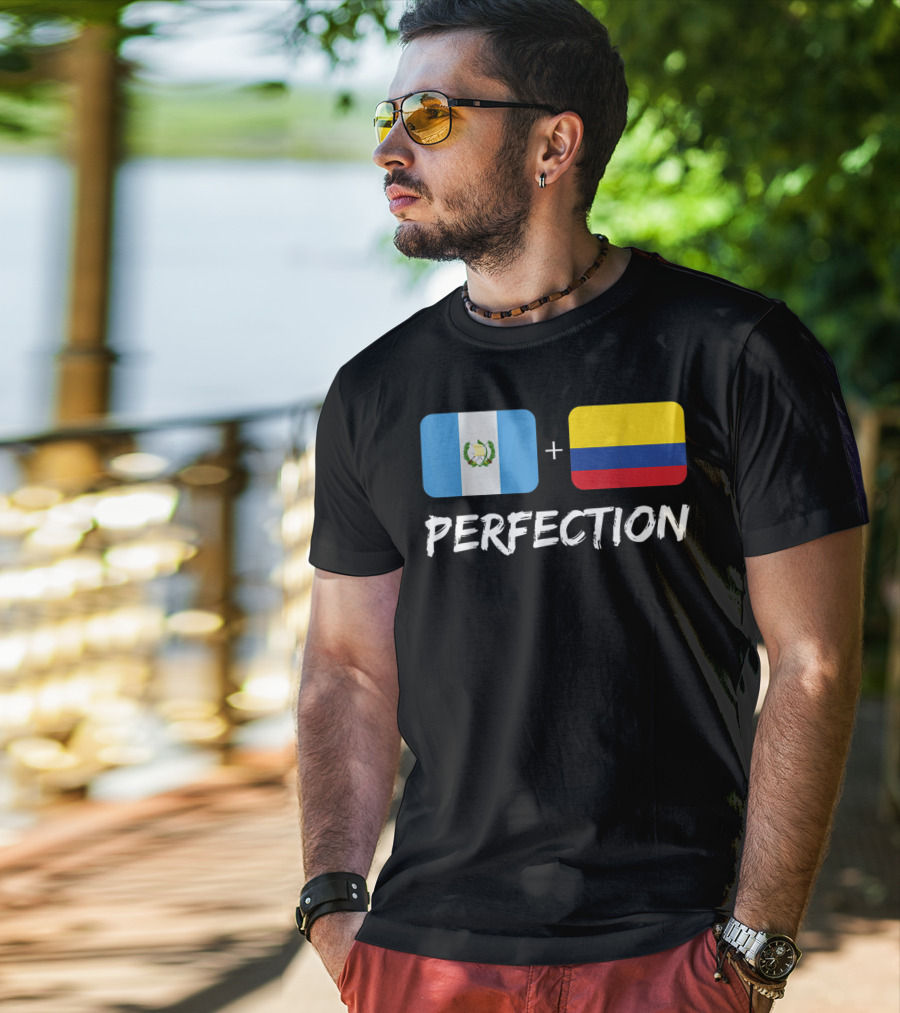 Guatemalan Flag Plus Colombian Flag Equals Perfection T-Shirt