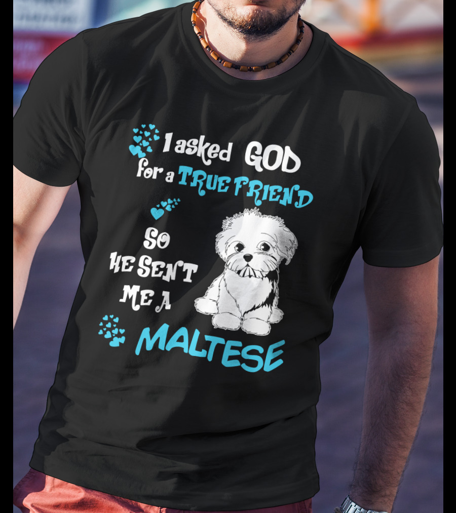 God Sent Me A True Friend Maltese Dog So He Sent Me A Maltese T-Shirt
