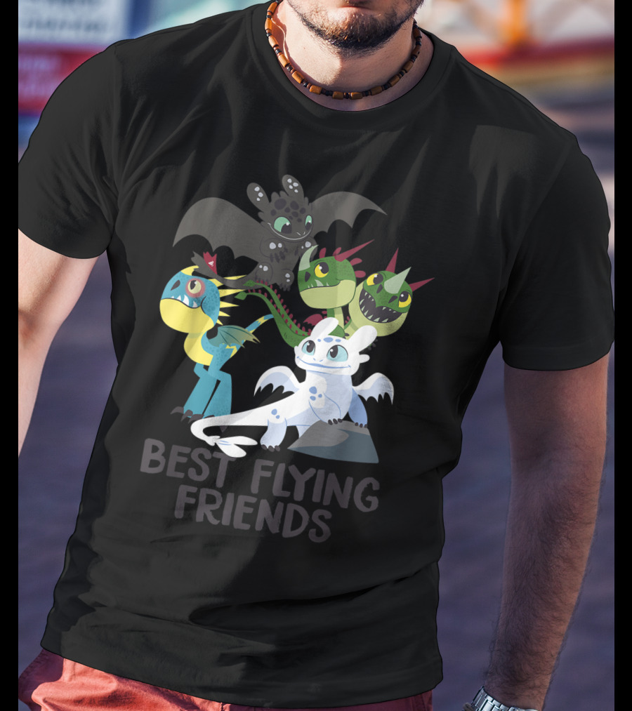 Best Flying Friends How To Train Your Dragon 3 Hidden World T-Shirt