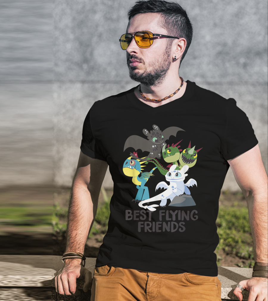 Best Flying Friends How To Train Your Dragon 3 Hidden World T-Shirt
