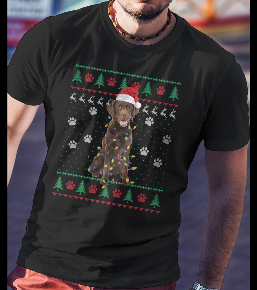 Christmas Chocolate Labrador With Santa Hat And Lights T-Shirt