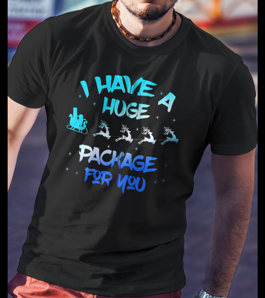 I Have A Huge Package For You Santa Reindeer Sleigh T-Shirt