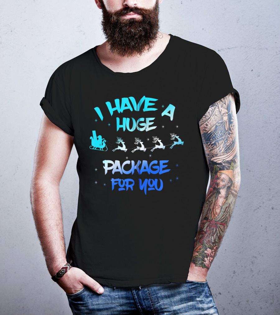 I Have A Huge Package For You Santa Reindeer Sleigh T-Shirt