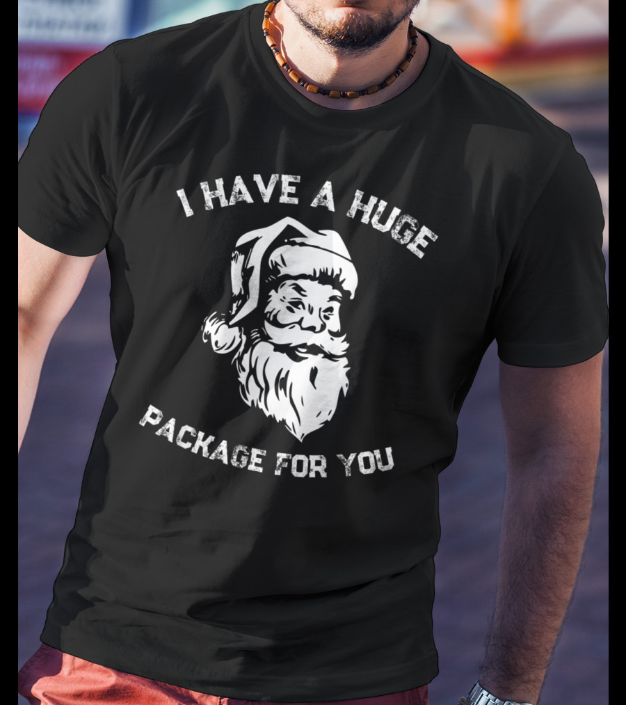 I Have A Huge Package For You Santa T-Shirt
