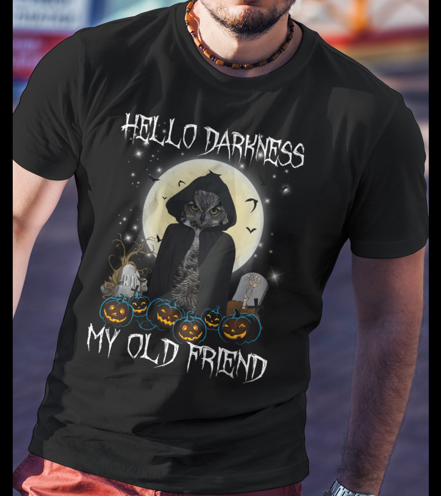 Hello Darkness My Old Friend Owl Halloween Moon Ravens T-Shirt