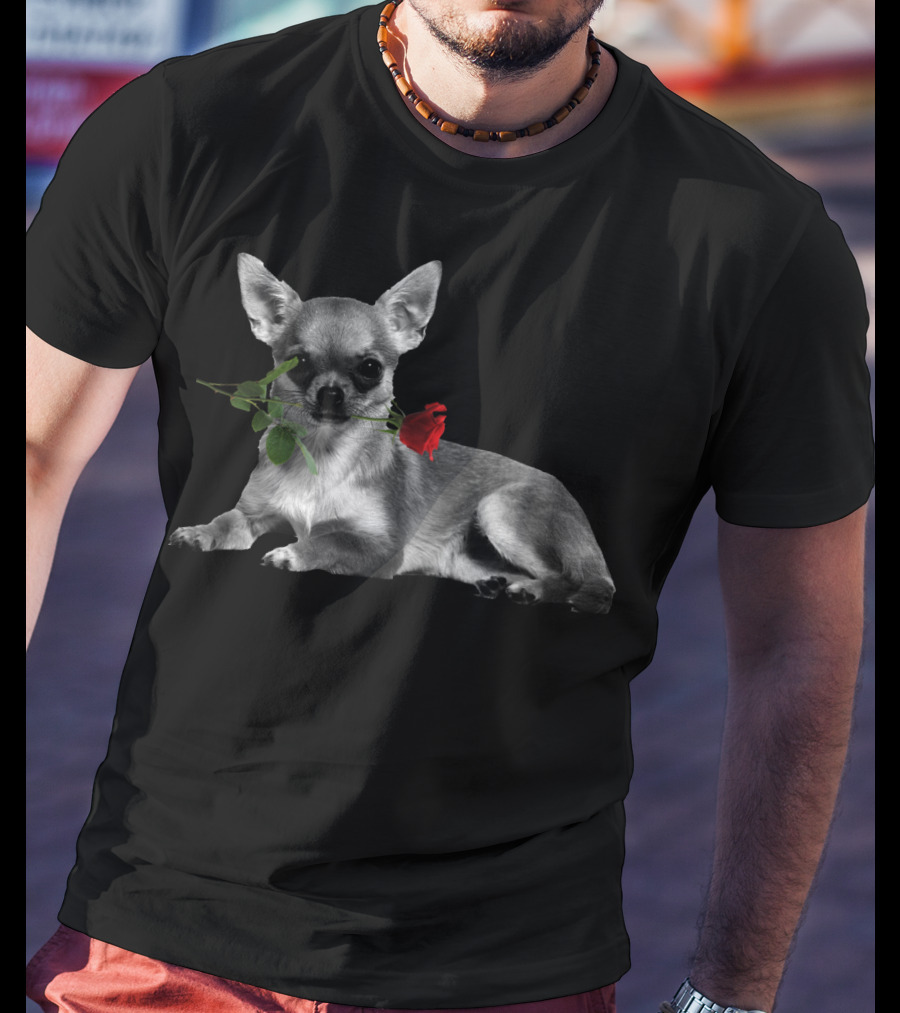 Chihuahua Holding A Red Rose In Mouth T-Shirt