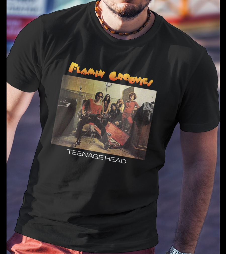 Flamin Groovies Teenage Head T-Shirt