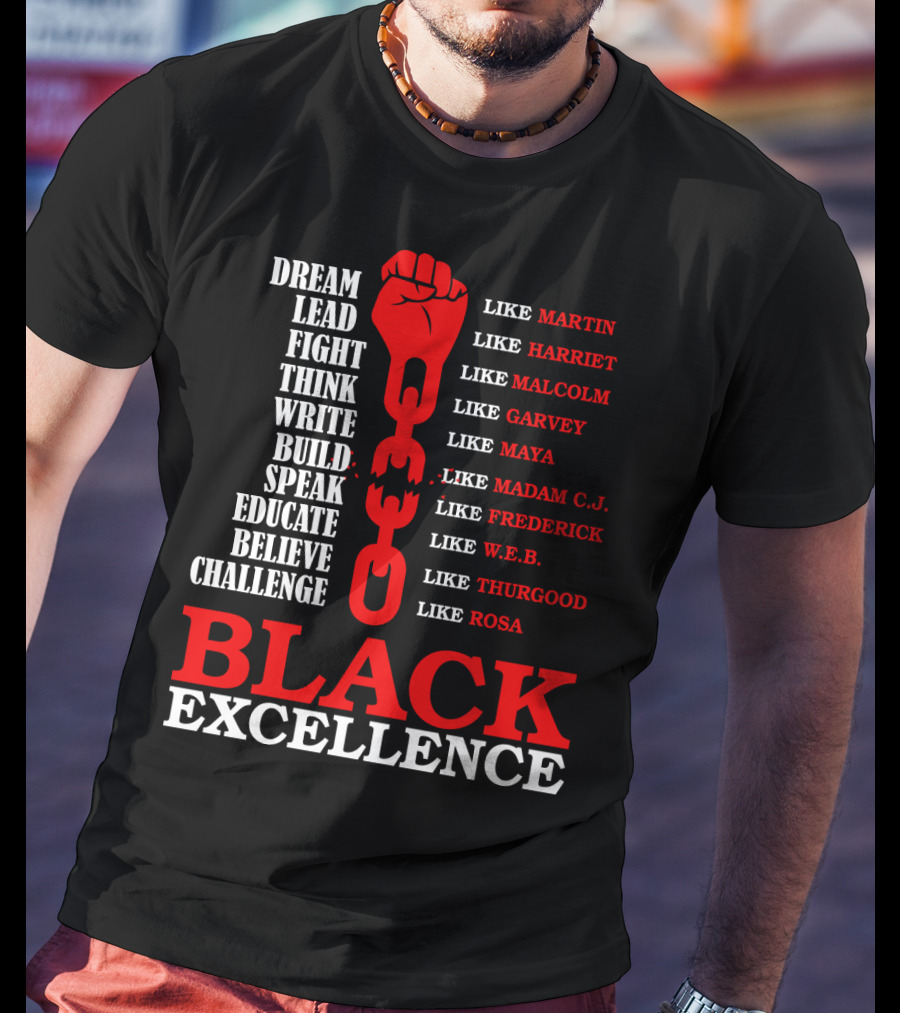 Dream Lead Fight Think Black Excellence Like Martin Like Rosa T-Shirt