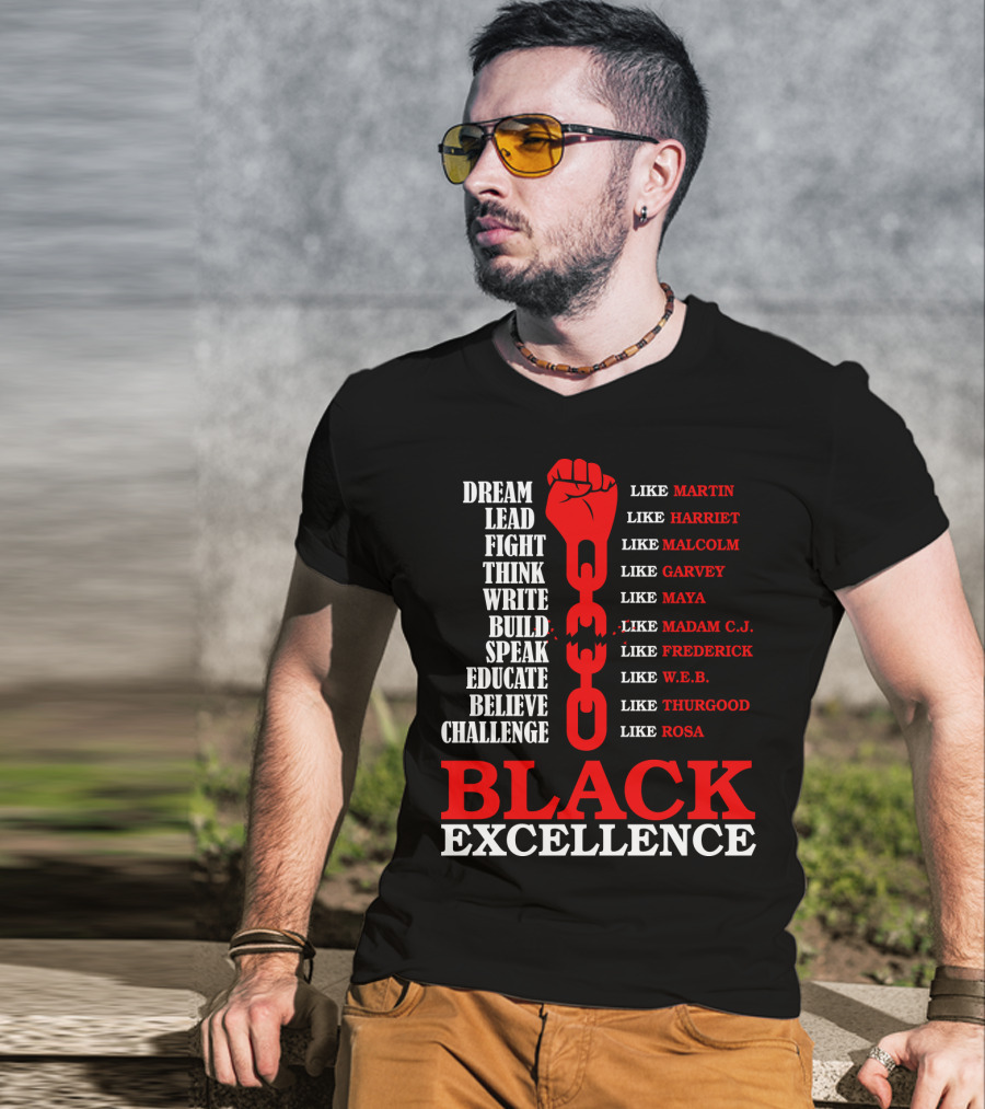 Dream Lead Fight Think Black Excellence Like Martin Like Rosa T-Shirt
